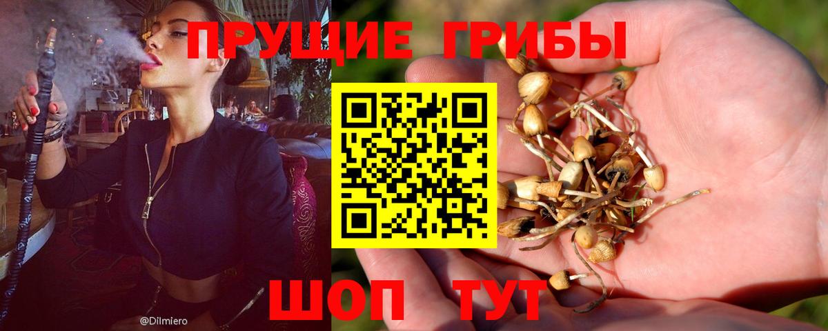 Галлюциногенные грибы ЛСД  Псилоцибиновые грибы мухоморы  Вход с VPN  Новоуральск 